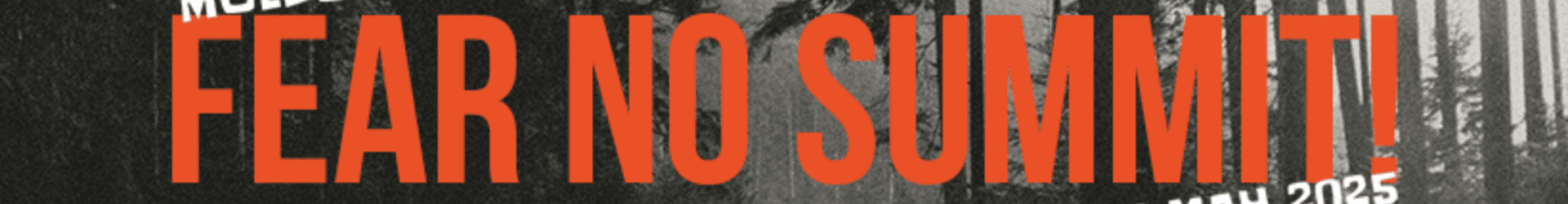 Zmeu X-Fest banner ambilight